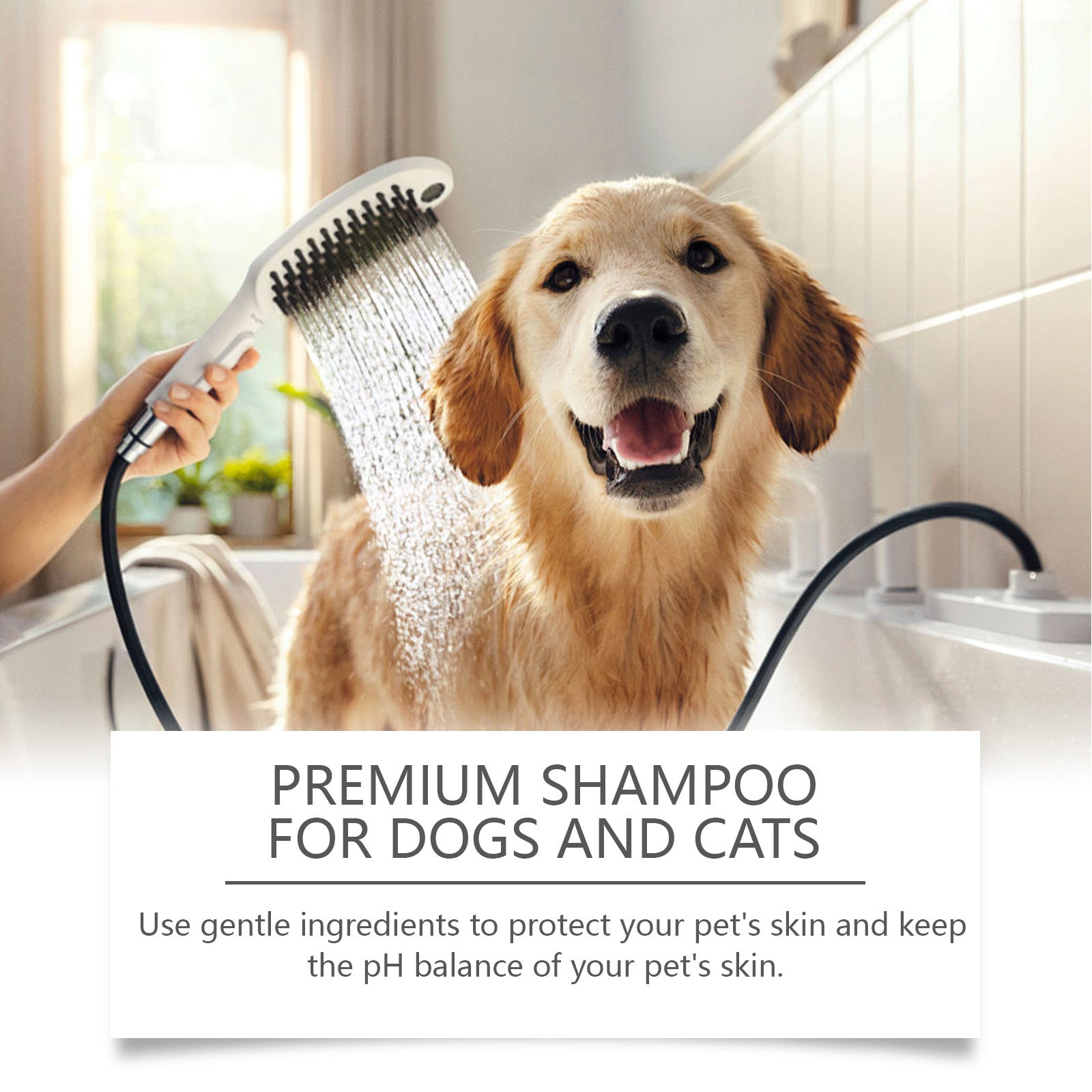 Pet Shampoo