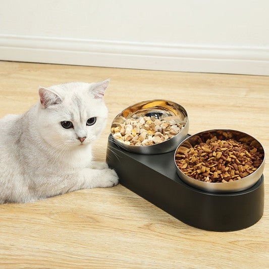 Pet Feeding Bowl